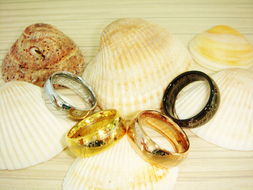 珠寶飾品行業情人節專場秀 璀璨獻禮，展示產品贏豐厚獎勵