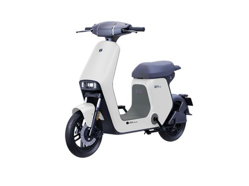 母親節，送媽媽最實用的禮物——新日電動車